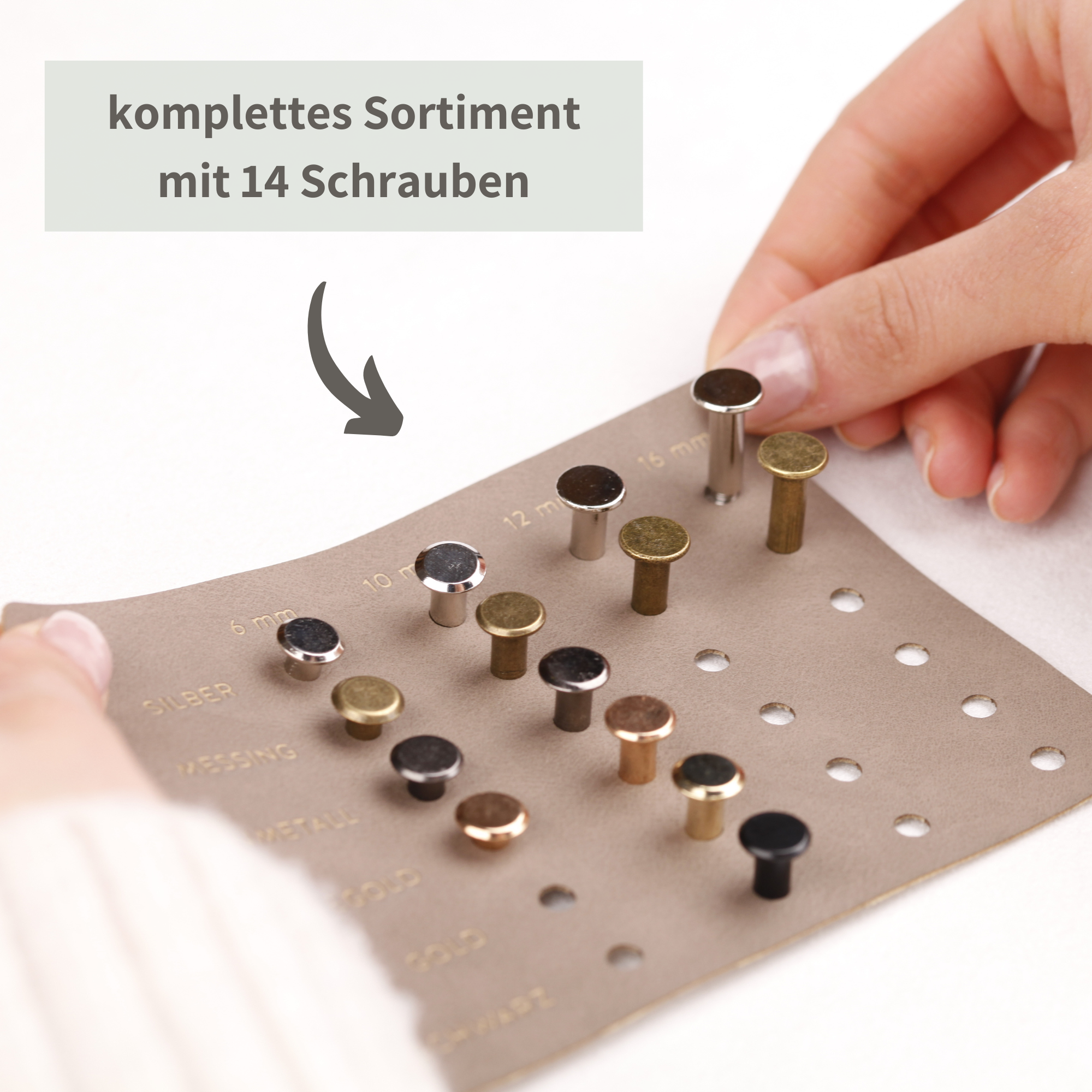 Musterset - Schraubensortiment für Knicklabel