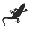 29-Gecko